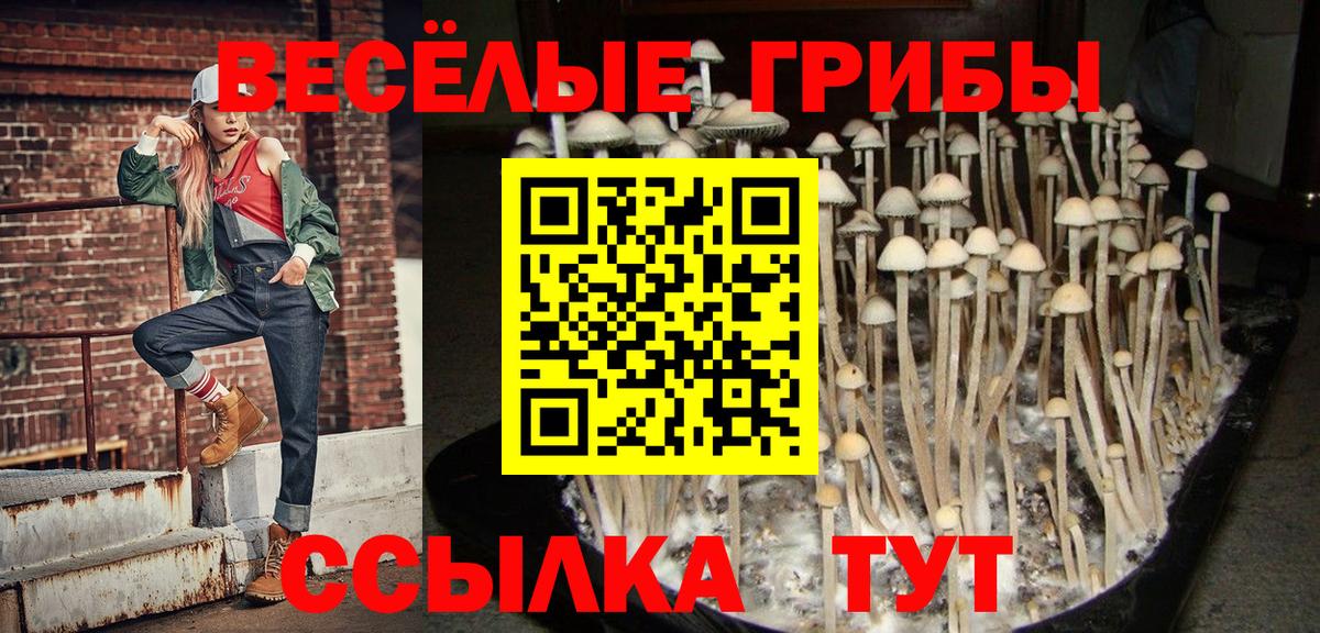 Псилоцибиновые грибы мицелий Красноармейск